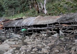 प्यूठानका `भेडिगोठ’मा पशुपालन