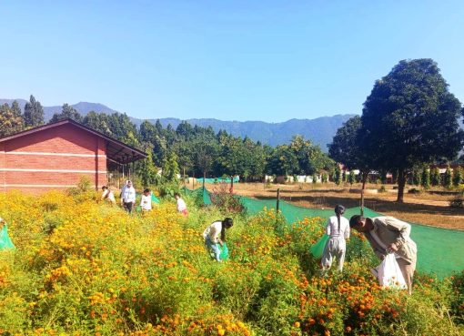 पढ्दै कमाउँदै कार्यक्रम अन्तरगत फूलखेतिबाट आम्दानी गर्दै विद्यार्थी